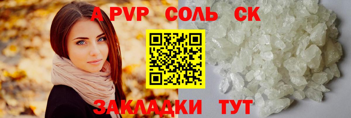 Alfa_PVP СК КРИС Орёл