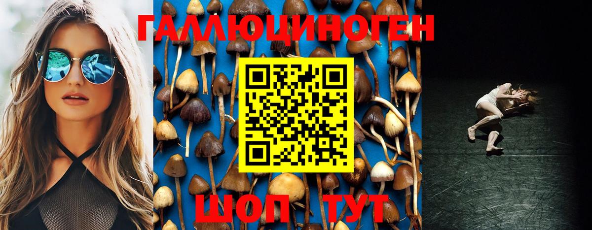 Галлюциногенные грибы прущие грибы  Галлюциногенные грибы Cubensis  Орёл  Вход с VPN 